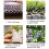 100PCS Biodegradable Non-Woven Nursery Plant Bags 8