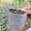 100PCS Biodegradable Non-Woven Nursery Plant Bags 13
