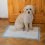 AllPetSolutions 100 x Medium Disposable Puppy Pads - 60 x 40cm 4