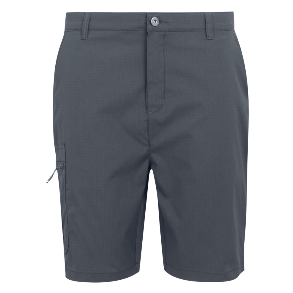 (44R, Seal Grey) Regatta Mens Dalry Multi Pocket Shorts