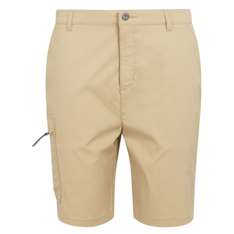 (38R, Oat) Regatta Mens Dalry Multi Pocket Shorts