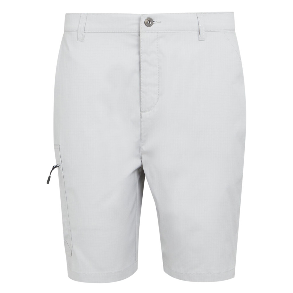 (40R, Silver Grey) Regatta Mens Dalry Multi Pocket Shorts