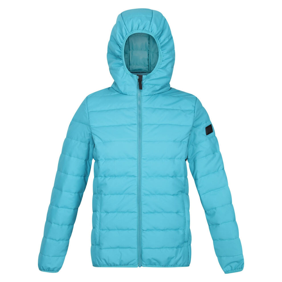 (8 UK, Pagoda Blue) Regatta Womens/Ladies Helfa Padded Jacket