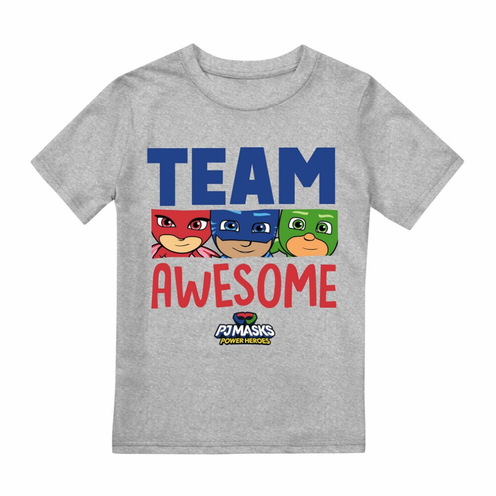 (3-4 Years, Sports Grey) PJ Masks Boys Team Awesome Heather T-Shirt