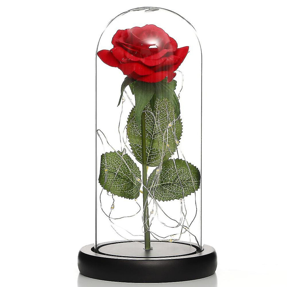 (Red) Eternal Roses In Glass Birthday Gifts Mother's Day Red