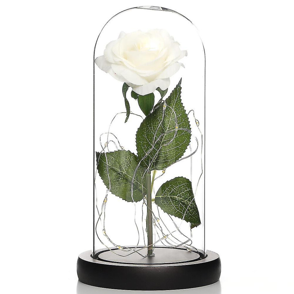 (white) Eternal Roses In Glass Birthday Gifts Mother's Day