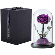 (Purple) Preserved Real Rose Eternal Rose In Glass Dome Gift For Her Thanksgiving Christmas Valentine's Day Birthday Mother's Day (red)