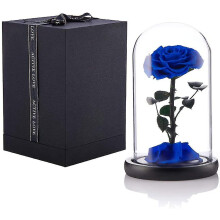 (Blue) Preserved Real Rose Eternal Rose In Glass Dome Gift For Her Thanksgiving Christmas Valentine's Day Birthday Mother's Day (red)