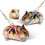 (Pink) Small Pet Adjustable Soft Harness Leash Bird Parrot Mouse Hamster Ferrets Rat 1