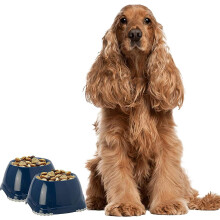 DogCentreⓇ 2x 0.6L Dark Blue Spaniel Dog Puppy Bowls Non Slip Pet Food Water Dishes Set