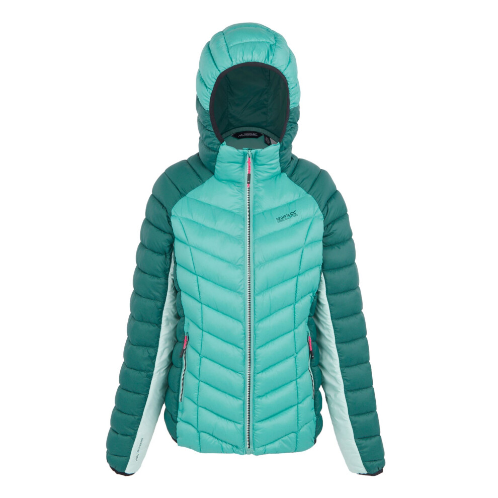 (14 UK, Rainforest/Dusty Green) Regatta Womens/Ladies Dalent Quilted Hooded Jacket