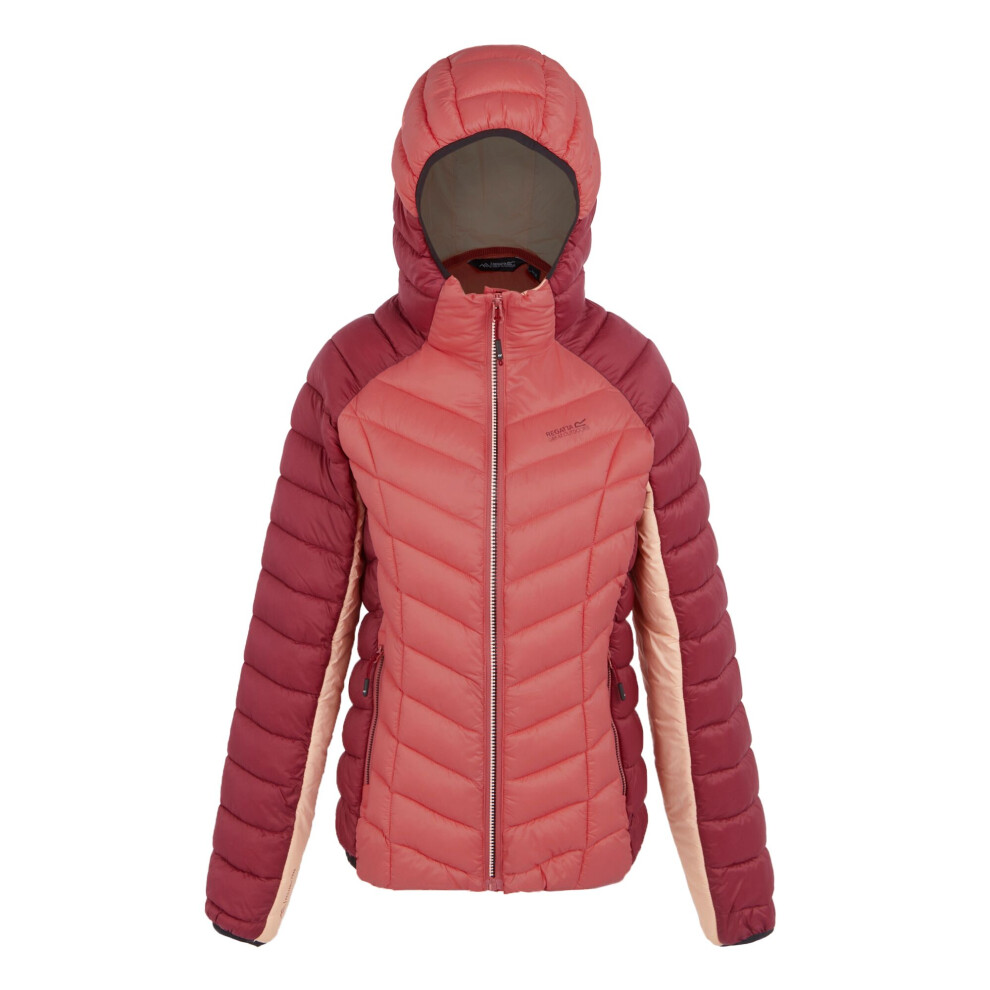 (18 UK, Rumba Red/Mineral Red) Regatta Womens/Ladies Dalent Quilted Hooded Jacket