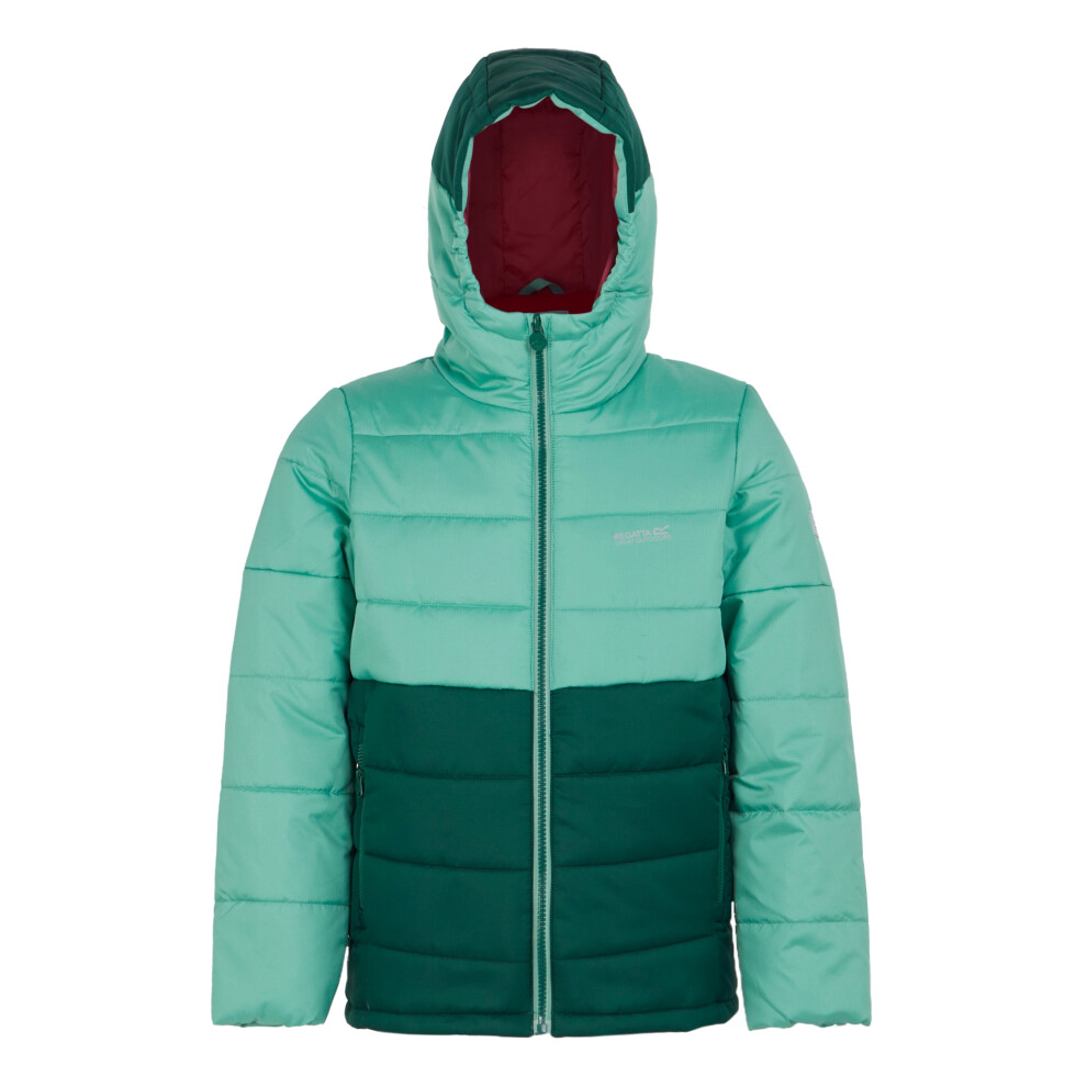 (5-6 Years, Dusty Green/Rainforest) Regatta Childrens/Kids Lofthouse VIII Insulated Jacket