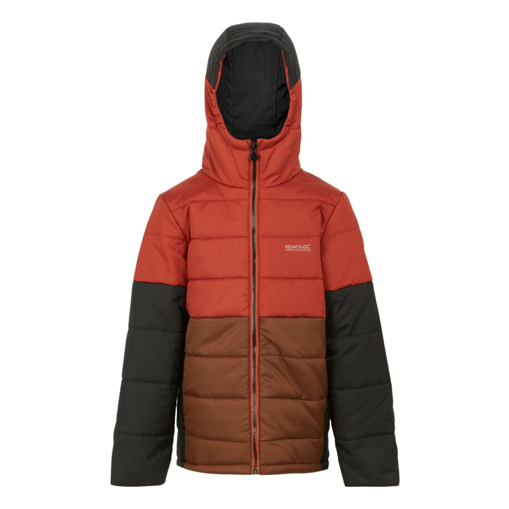 (11-12 Years, Red Ochre/Dark Brown) Regatta Childrens/Kids Lofthouse VIII Insulated Jacket