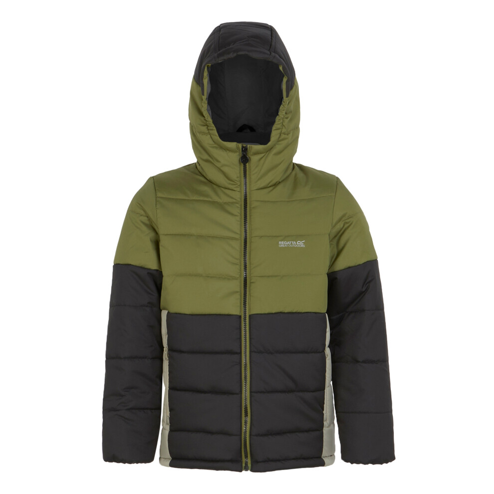 (3-4 Years, Nephrite Green/Black) Regatta Childrens/Kids Lofthouse VIII Insulated Jacket