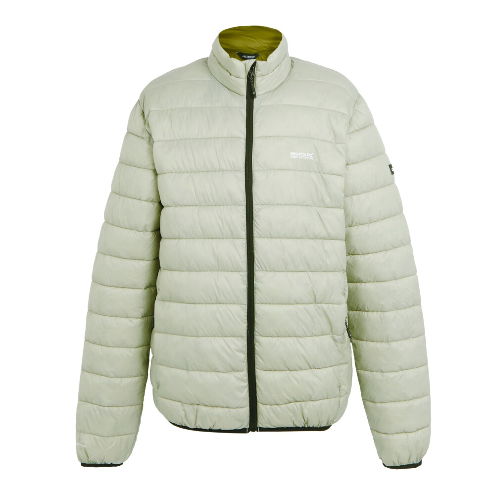 (XL, Abbeystone/Nephrite Green) Regatta Mens Marizion Padded Jacket