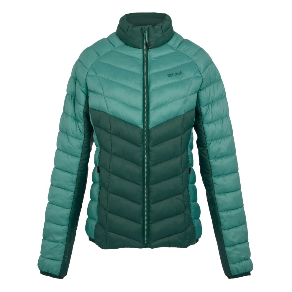 (16 UK, Dusty Green/Rainforest) Regatta Womens/Ladies Dalent Quilted Jacket