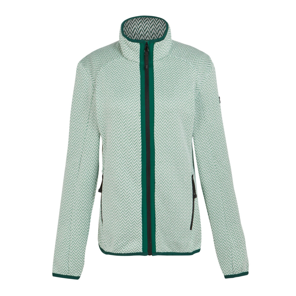 (18 UK, Dusty Green) Regatta Womens/Ladies Elzie Full Zip Fleece Jacket