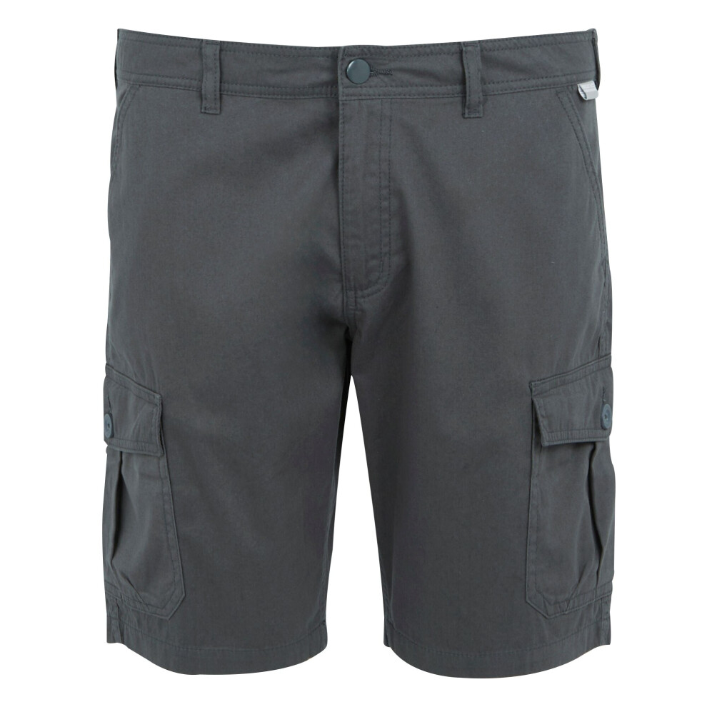 (33R, Seal Grey) Regatta Mens Ruwan Casual Shorts