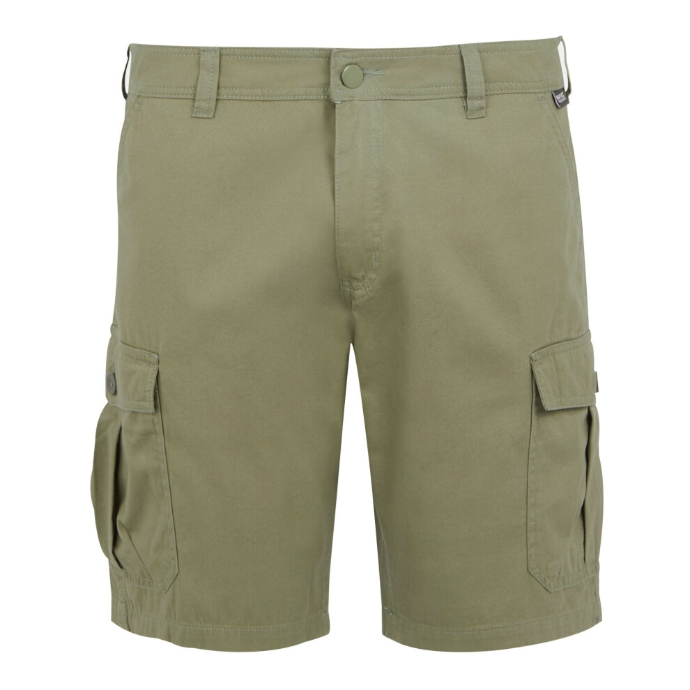 (38R, Fauna) Regatta Mens Ruwan Casual Shorts