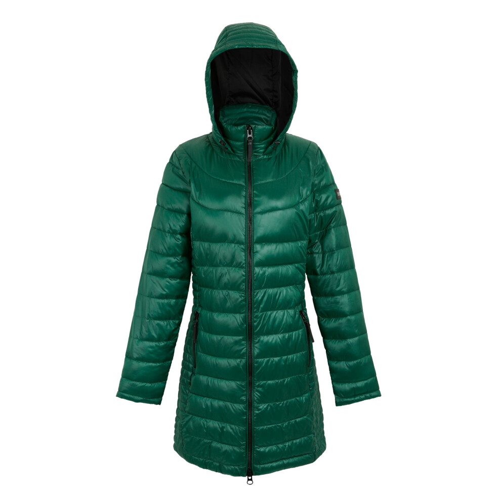 (18 UK, Rainforest) Regatta Womens/Ladies Andel IV Quilted Baffled Jacket