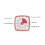 60- Timer, Classroom Classroom Timer, Countdown Timer And Adults, Time Management Tool For Teaching 5
