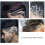 USB Charging Carving Electric Hair Clipper, Colour Gradient 6