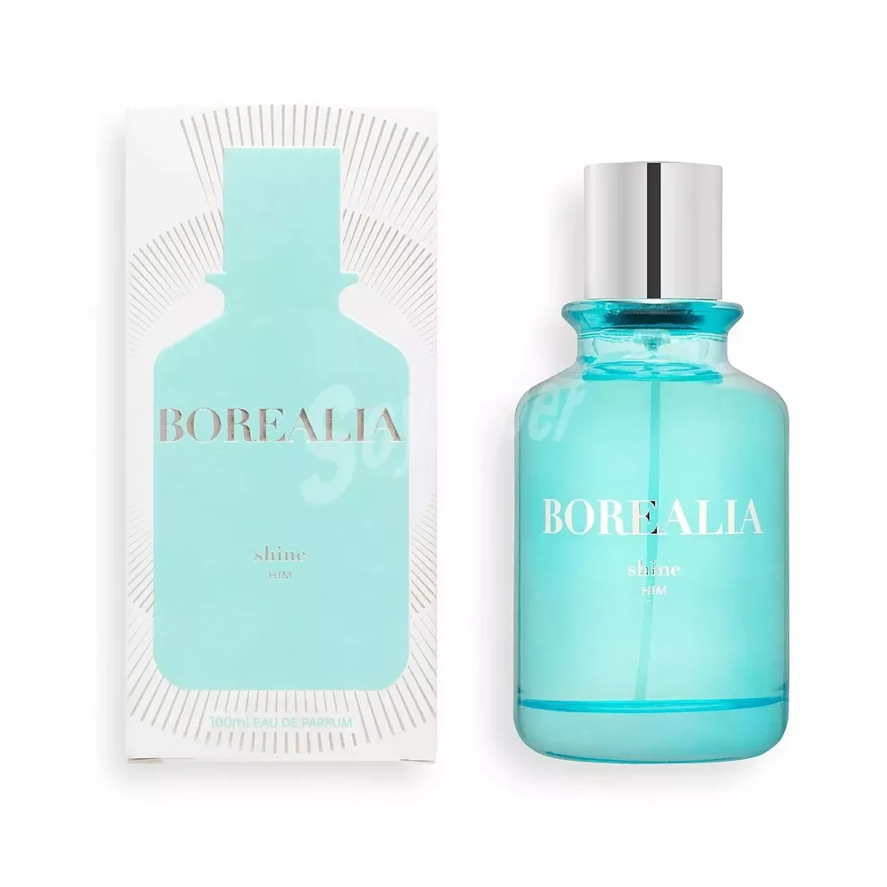 Borealia For Him Eau de Parfum Men 100ml Mercadona New