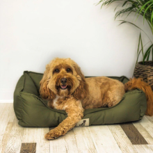 (Small) AllPetSolutions Dexter Waterproof Dog Bed Green - Size S/M/L