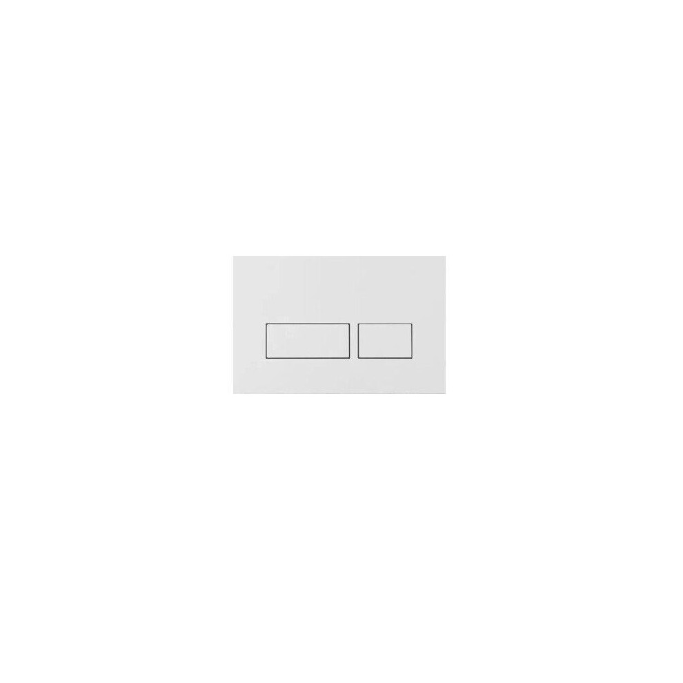 Dirty Pro Tools (Flush Plate ) Wall Hung Toilet Rimless Dpt Pan, Seat & 1.12M Concealed Cistern Frame Wc Plate White