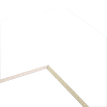 Craig Frames B222 Pannello pretagliato per stampa 11x14 16x20 Bianco liscio