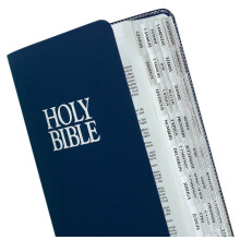 Tabbies Silver-Edged Bible Indexing Tabs Old & New Testament 80 Tabs