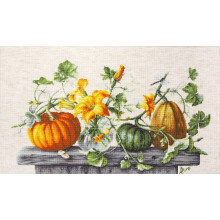 Kit de point de croix - Luca-S B2303 - Citrouille - Toile Aida 16ct (lin) - 42 couleurs