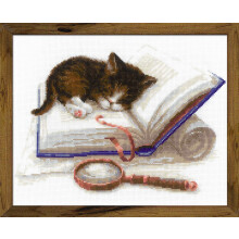 RIOLIS - Kitten op het boek - Telpatroon 11,75""x 9,5"" Zweigart 14ct. Wit AIDA 21 kleuren