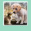 ?a?t? ??a ?e???   a ?a?t?? Hamilco 12x12, ??e    ???   at??, e??f???? 80lb - 25 te   ???a 2