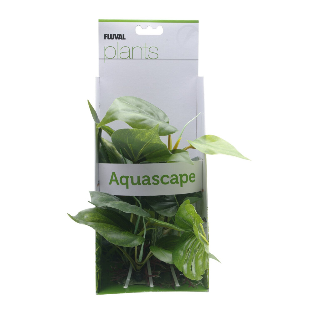 Fluval Anubias Plant for Aquarium  8-Inch