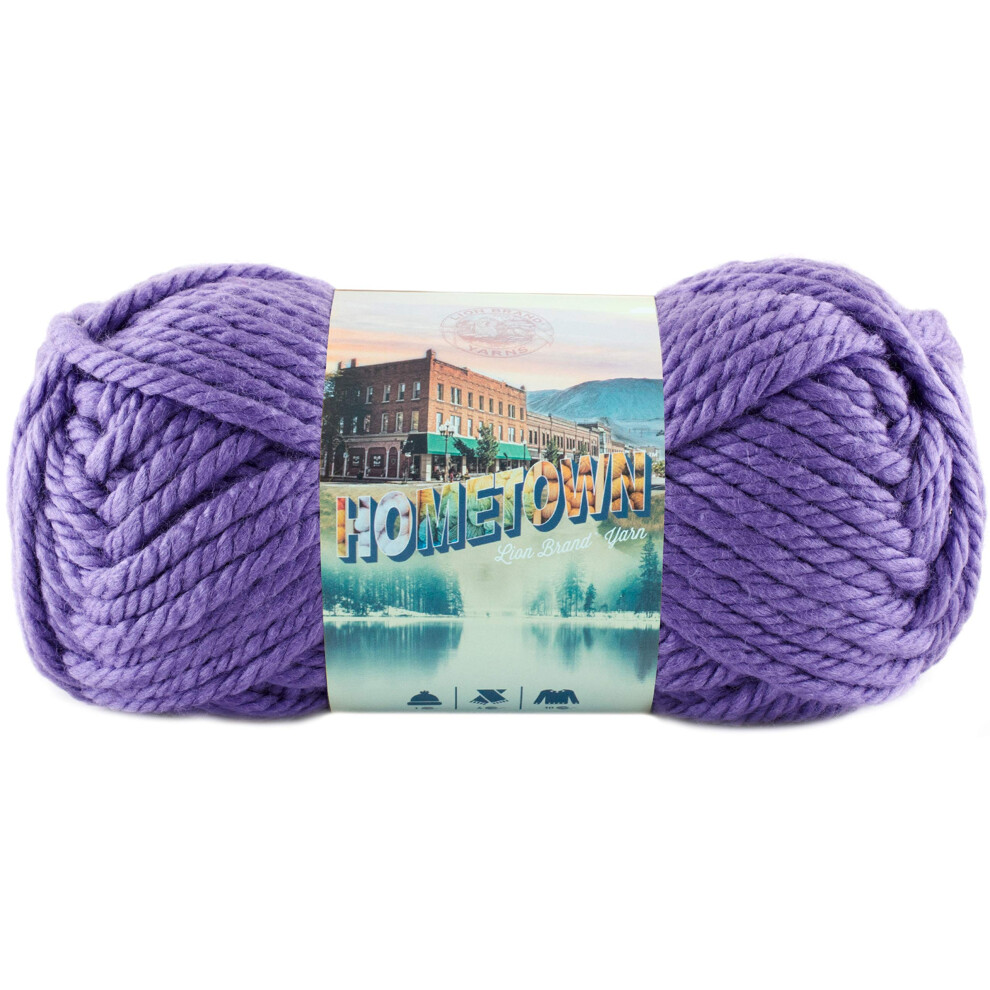 Lion Brand Yarn 135-147J Hometown Yarn  Minneapolis Purple (1 Skein)