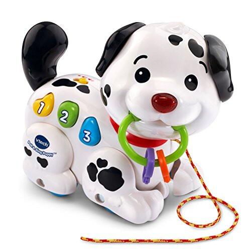 VTech VTECH PULL e SING PUNHO