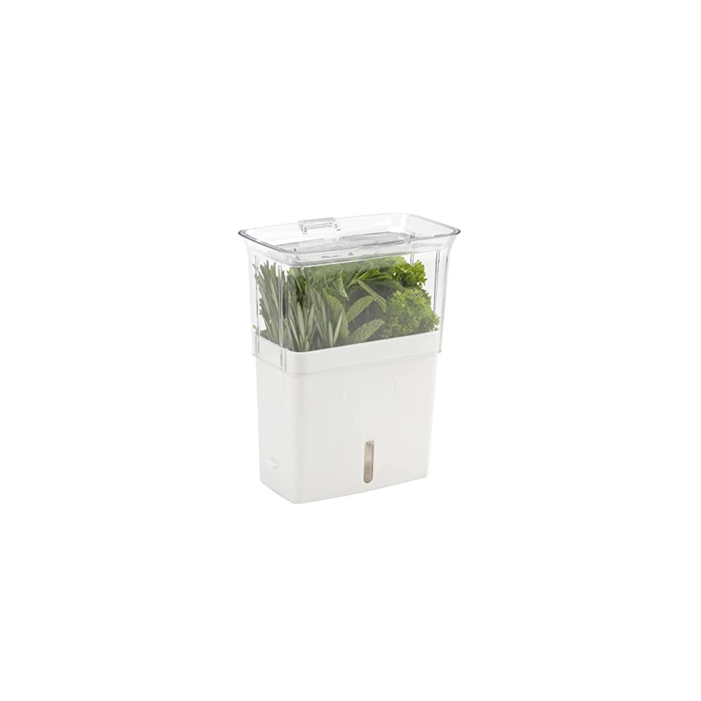 COLE & MASON Fresh Herb Keeper  Container  Clear