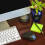 Logitech Logitech Wireless Mouse M317 with Unifying Receiver   Black 4
