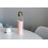 Full Circle Home 25 oz. Glas Wasserflasche - Blush 2