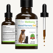 Pet Wellbeing Adrenal Harmony gold for Dogs - Vet-Formulated - cushing