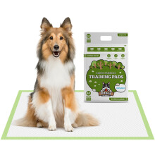 Pogis XL Dog Training Tads avec tabs collants adhesifs (40 compte) (24x35in) - Padds de chiots XL Padds pour chiens Plee Puppy Peed Poes For Dogs