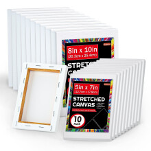 Shuttle Art Stretched canvas 20 PcS Value Pack 5 x 7 8 x 10 Inches