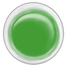 Ranger PPP-21889 Perfect Pearls Pigment Powder Green Patina 1-Ounce