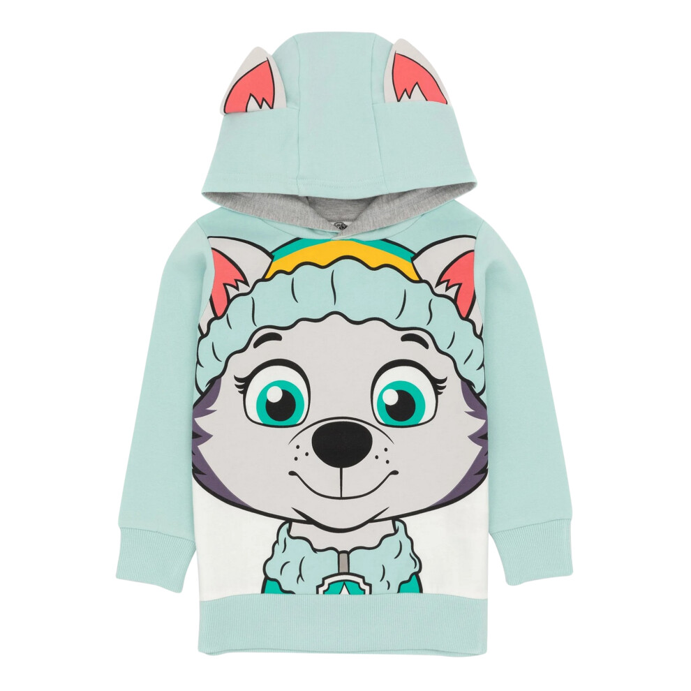 (4-5 Years, Blue/Green/Grey) Paw Patrol Childrens/Kids Everest 3D Ears Hoodie