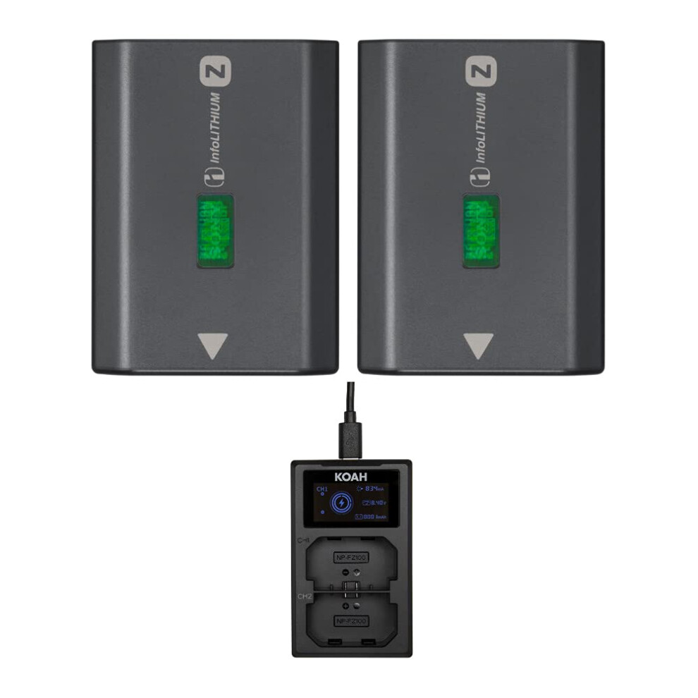 Sony NPFZ100 Z-Series Rechargeable Camera Battery (Two-Pack) Bundle wi