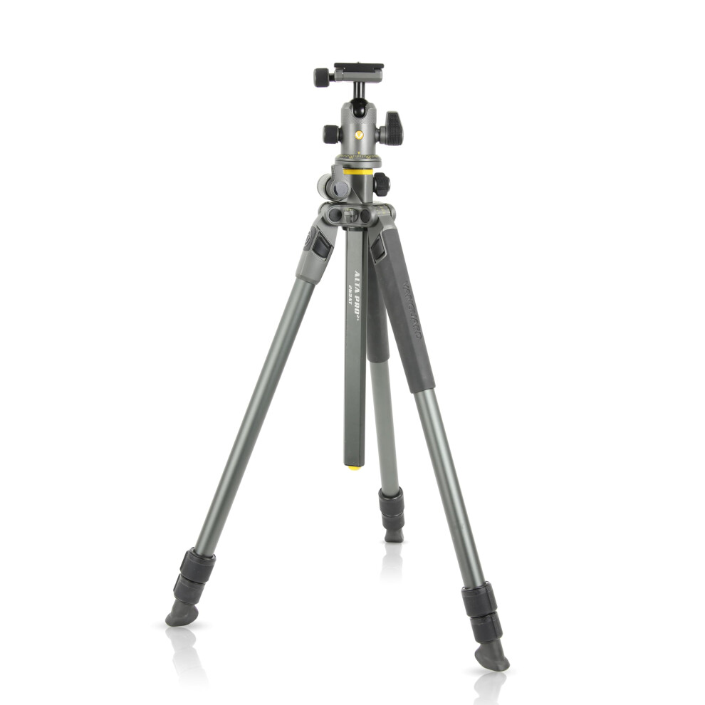 Vanguard Alta Pro 2+ 263AB 100 Aluminum Tripod with Alta BH-100 Ball H