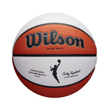 Balón de baloncesto - Wilson - NBA All Team Tribute - Tamaño 7 - Colores variados - Mixto