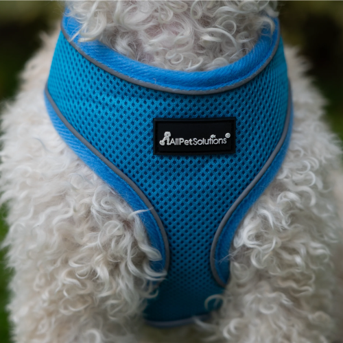 (Medium) AllPetSolutions Dog Harness with Reflective Strip in Blue S/M/L 2
